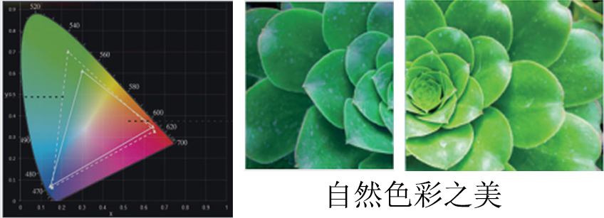 小间距LED显示屏解决方案(图1)