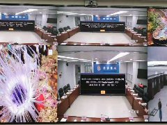 江苏某市国税局p1.25全彩LED显示屏25㎡